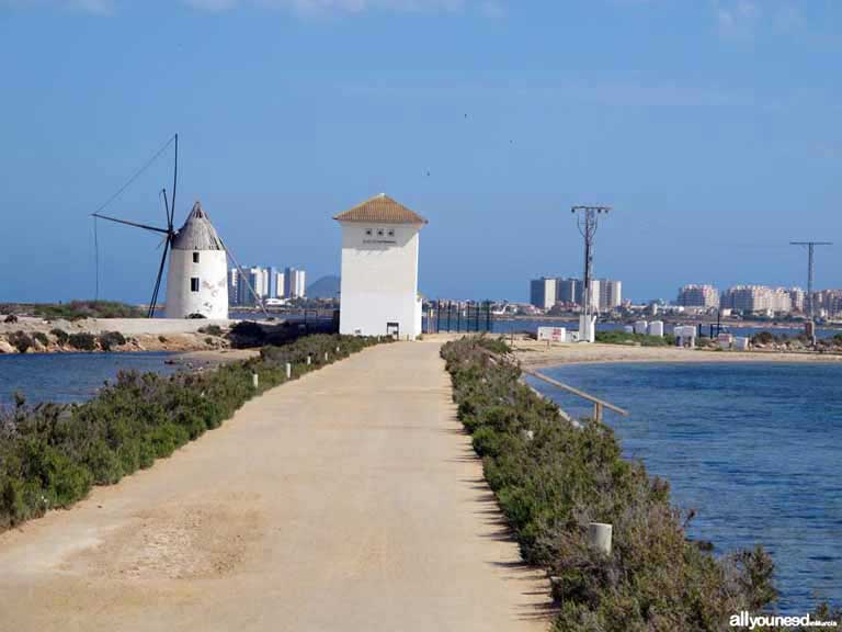 Mar Menor. Los molinos en las Salinas de San Pedro