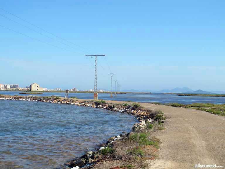 Mar Menor. Las encañizadas