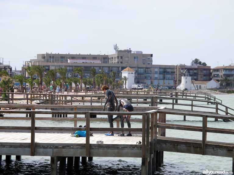 Mar Menor. Baños de lodo en la Mota. San Pedro del Pinatar