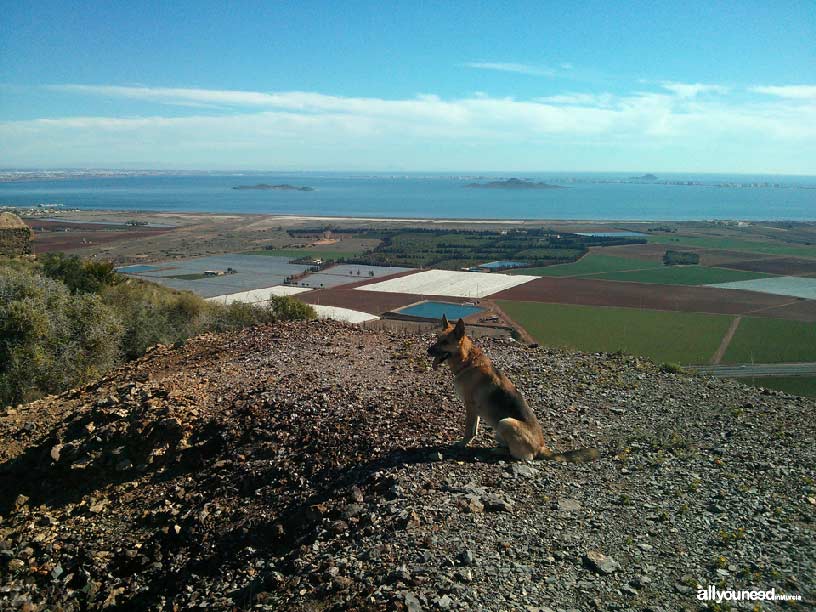 El Cabezo de San Ginés, final sendero. Espacios del Mar Menor