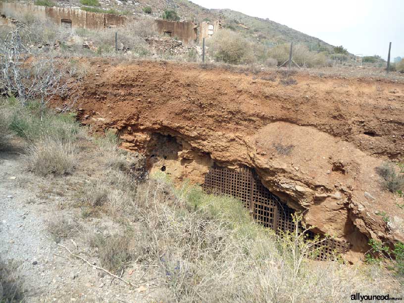 El Cabezo de San Ginés. Cueva Victoria. Espacios del Mar Menor