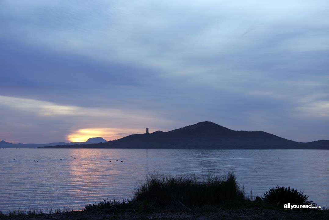 Playas del Mar Menor. Isla del Barón