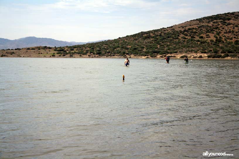 Isla del Ciervo en el Mar Menor. Sendero submarino