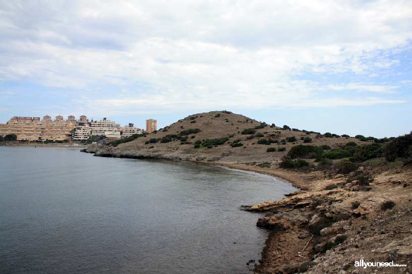 Isla del Ciervo en el Mar Menor. Playa