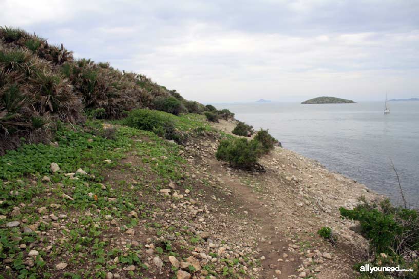 Isla del Ciervo en el Mar Menor. isla Rondella al fondo