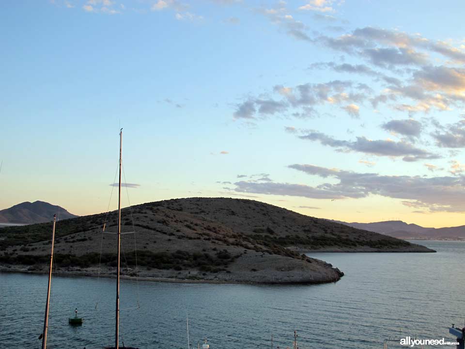 Isla del Ciervo. Espacios abiertos e islas del Mar Menor