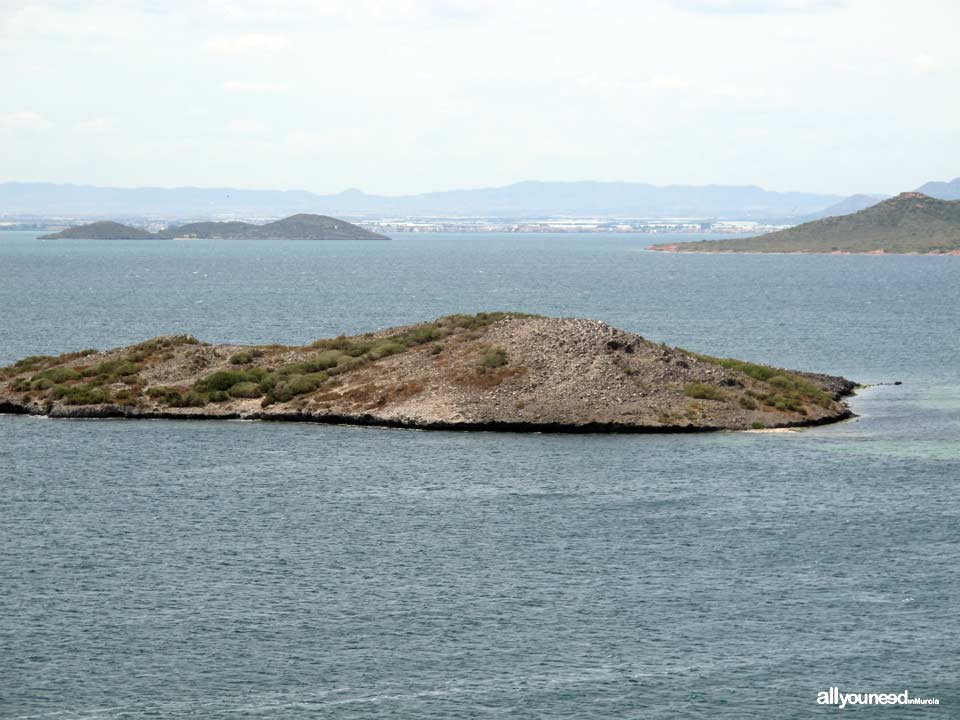 Isla del Sujeto en el Mar Menor