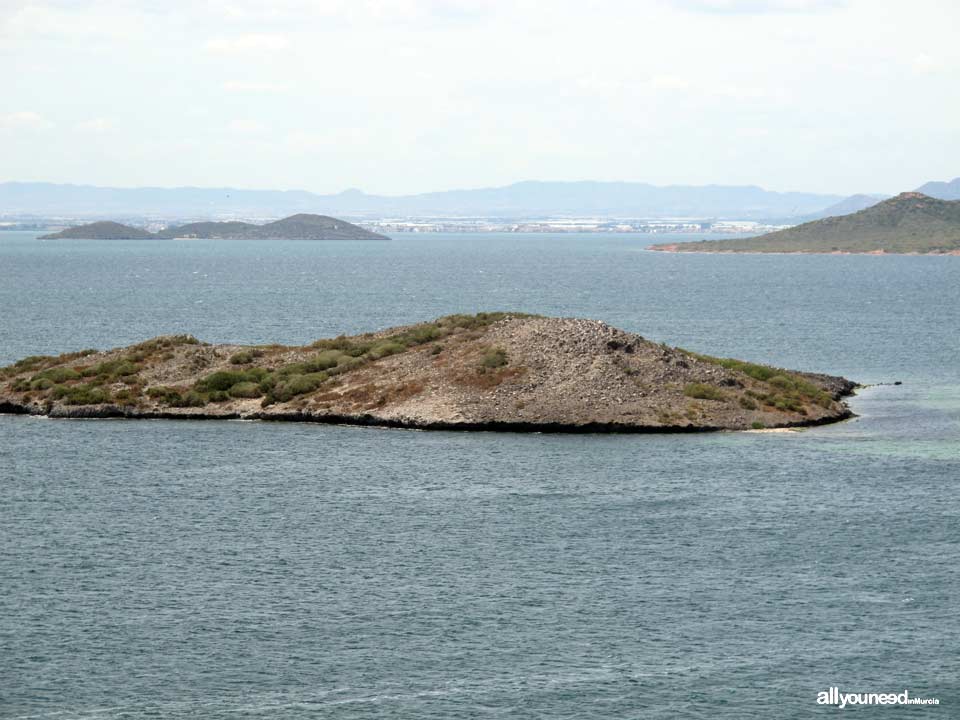 Sujeto Island in Mar Menor