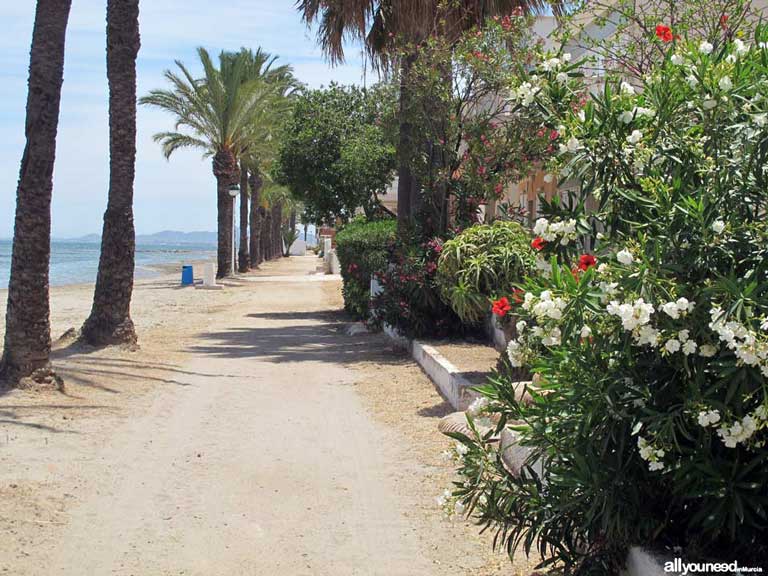 Playa Los Urrutias. Playas del Mar Menor