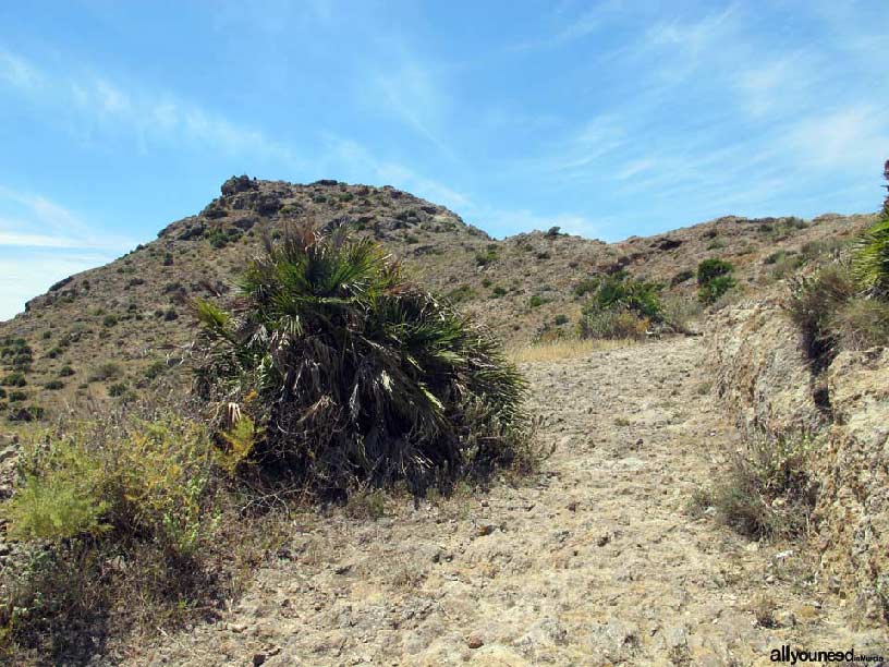 Senda Cabezo del Carmolí en los Urrutias 