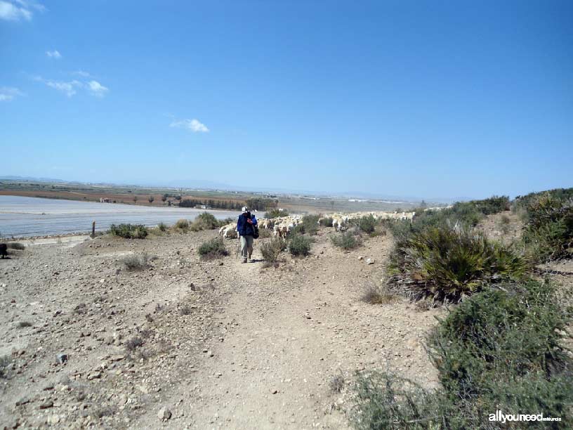 El Carmolí pathway