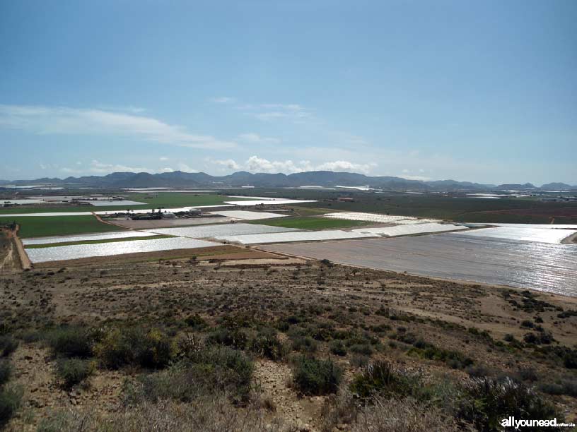 El Carmolí pathway