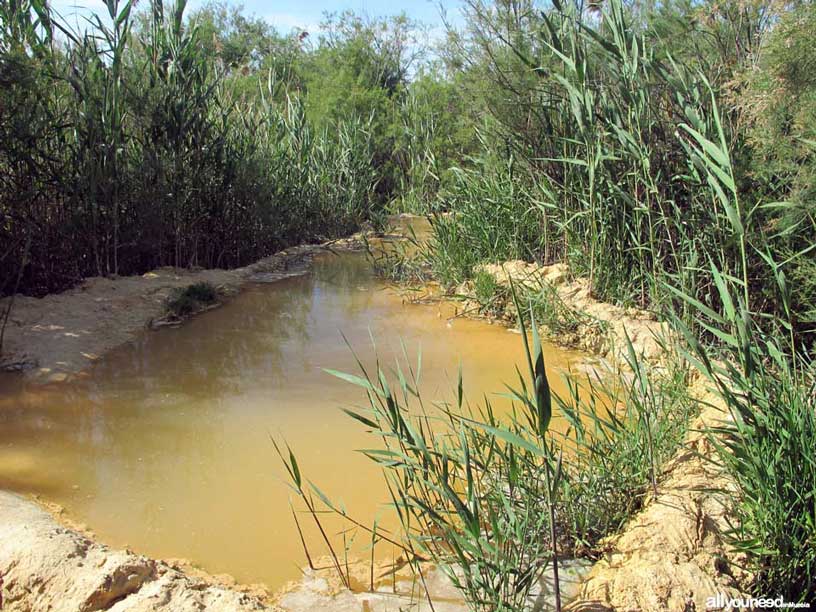 Termas del Saladillo en Mazarrón