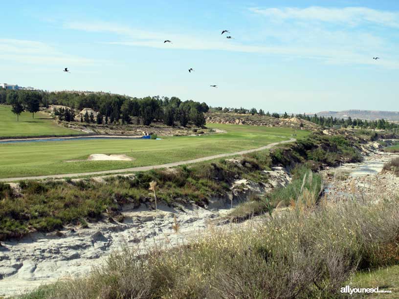 Termas del Saladillo en Mazarrón. Rambla y campo de golf