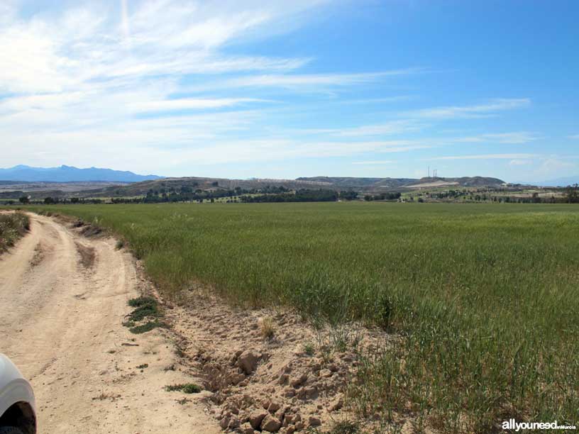 Termas del Saladillo en Mazarrón. Camino de acceso