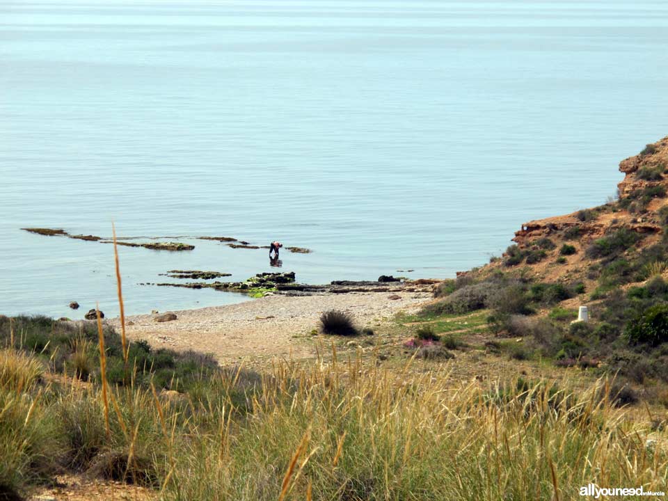 Beaches in Murcia. Leño Cove in Mazarrón