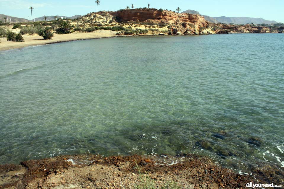 Diving in Mazarrón