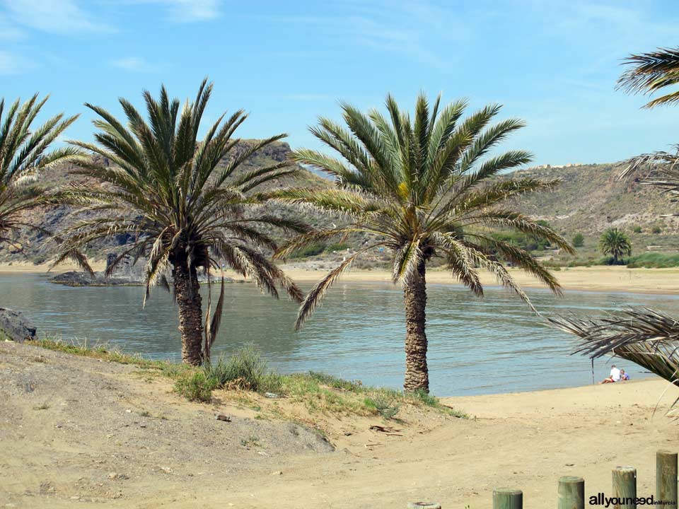 Beaches in Mazarrón. Percheles Beach