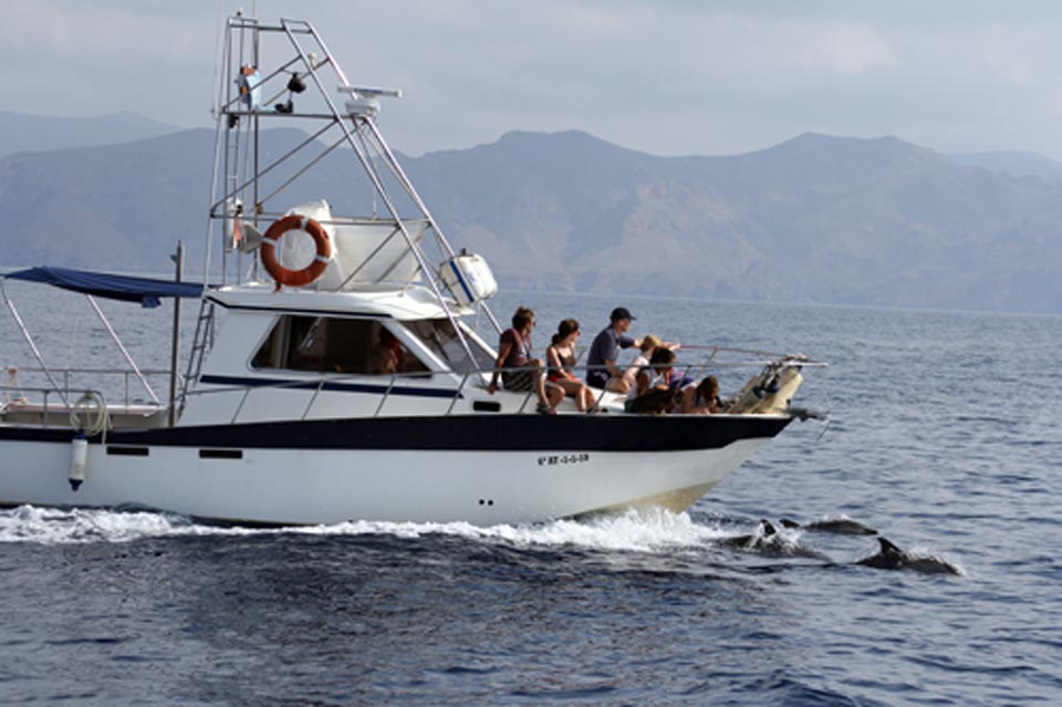 Cetáceos y Navegación. Turismo de aventura y naturaleza