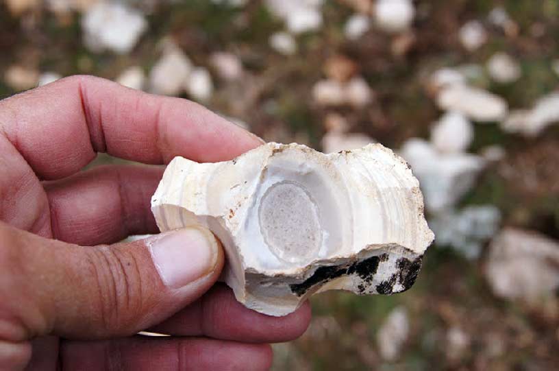 Descubriendo Moratalla. Ruta Cuerda de la Gitana desde Puerto Alto Descubriendo Moratalla. Ruta Cuerda de la Gitana desde Puerto Alto