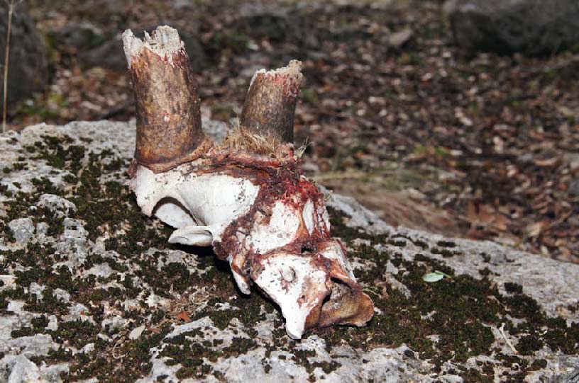 Descubriendo Moratalla. Ruta Cuerda de la Gitana desde Puerto Alto Descubriendo Moratalla. Ruta Cuerda de la Gitana desde Puerto Alto