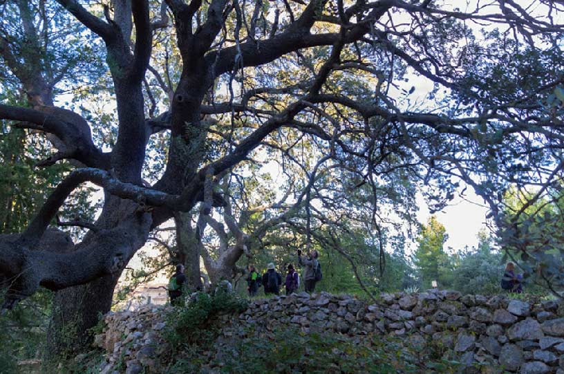 Descubriendo Moratalla. Río Benamor - Sierra del Buitre