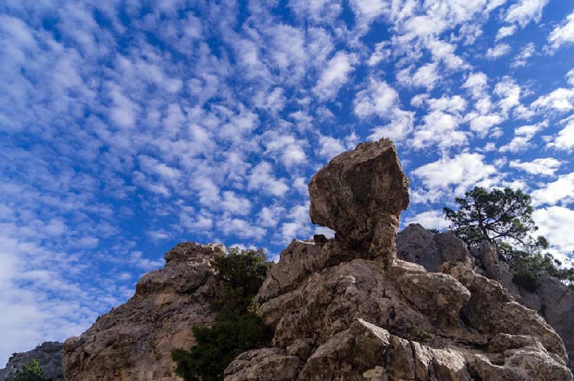 Descubriendo Moratalla. Río Benamor - Sierra del Buitre