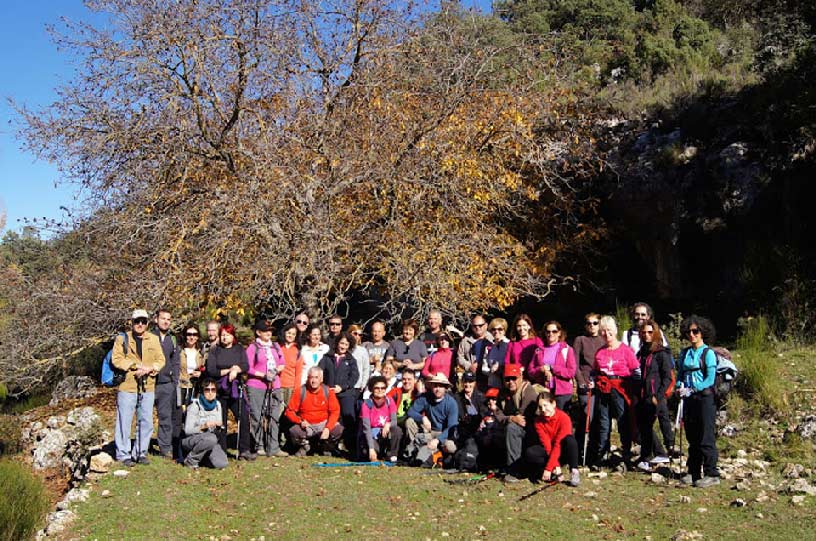 Descubriendo Moratalla. El bosque animado