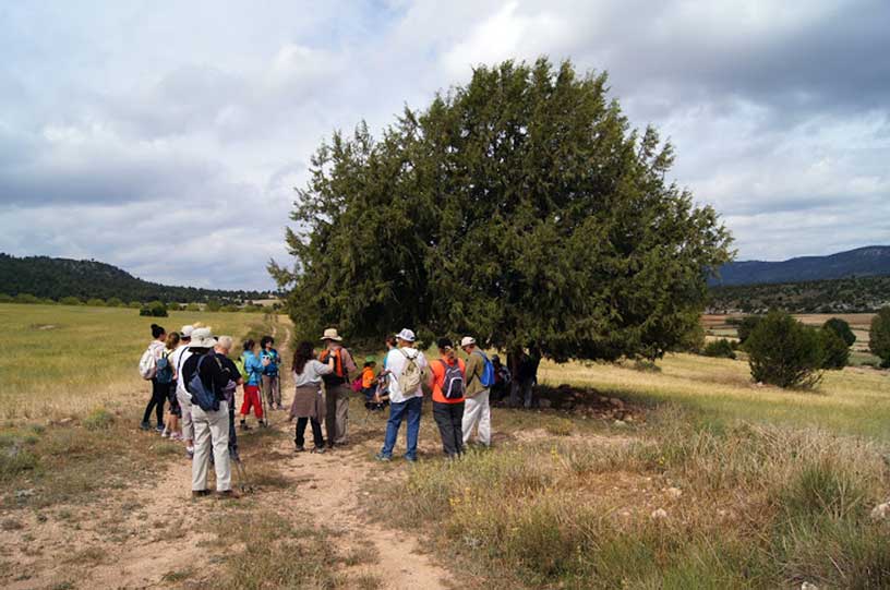 Descubriendo Moratalla. Excursión El Sabinar - Salero del Zacatín