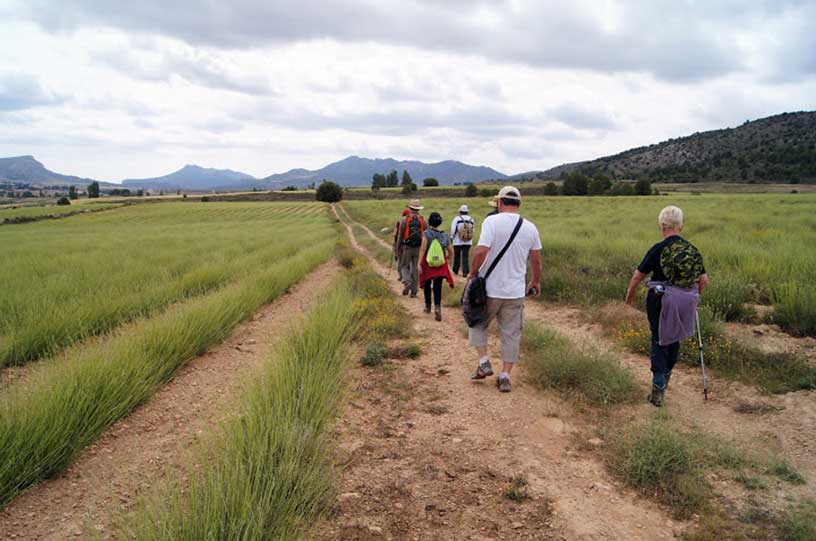 Descubriendo Moratalla. Excursión El Sabinar - Salero del Zacatín