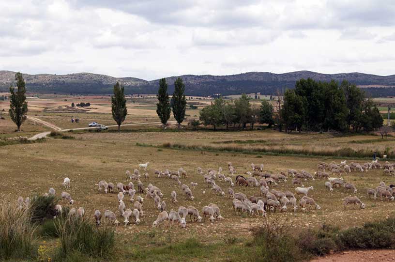 Descubriendo Moratalla. Excursión El Sabinar - Salero del Zacatín