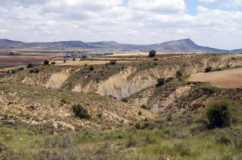 Descubriendo Moratalla. Excursión El Sabinar - Salero del Zacatín