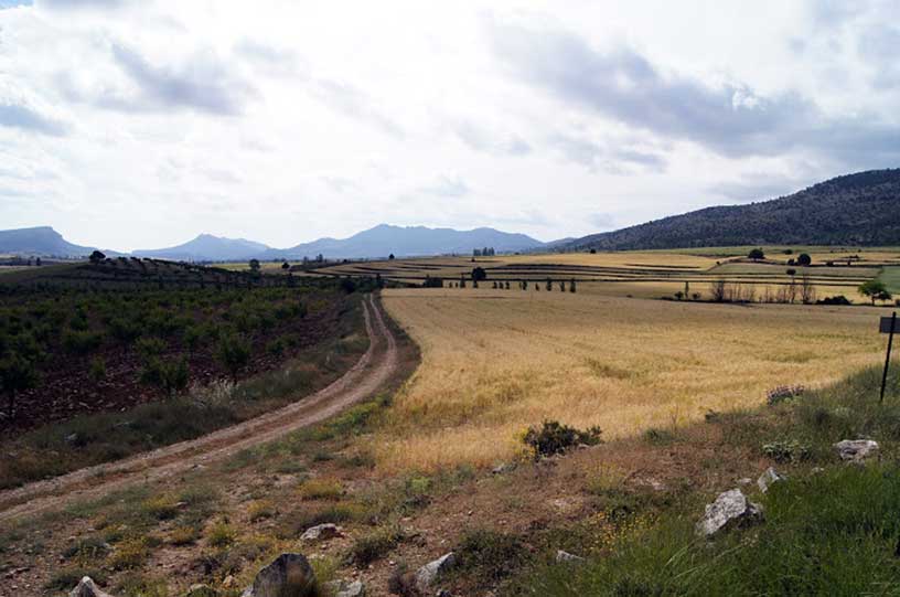 Descubriendo Moratalla. Excursión El Sabinar - Salero del Zacatín