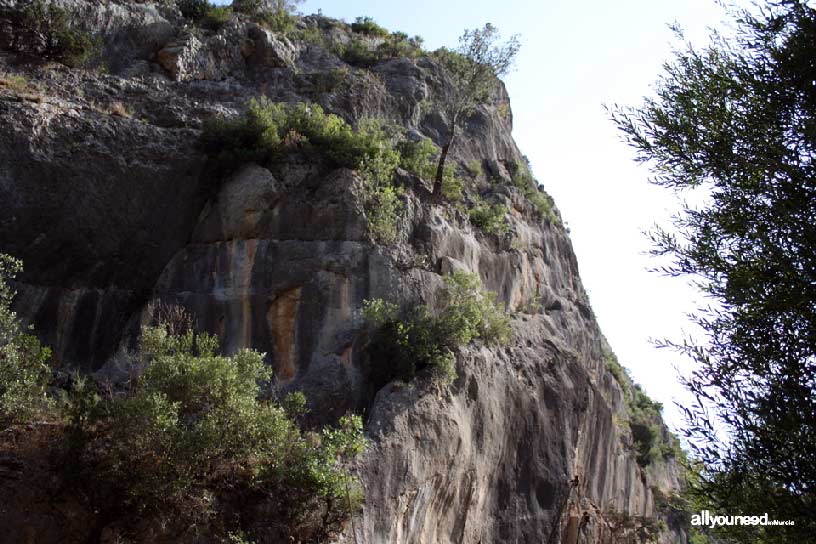 Estrecho de la Puerta y Baños de Somogil en Moratalla