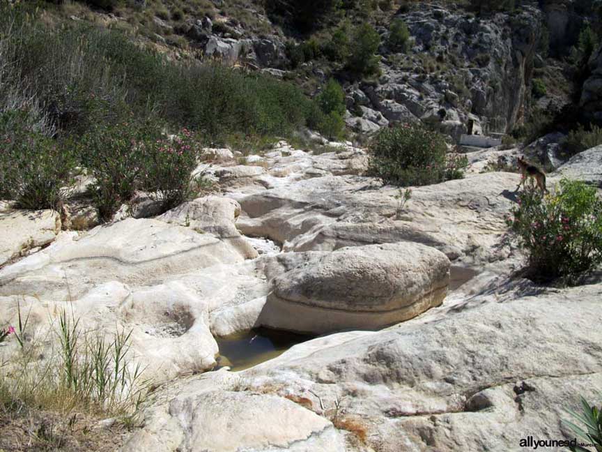 Fuente Caputa in Mula. Murcia