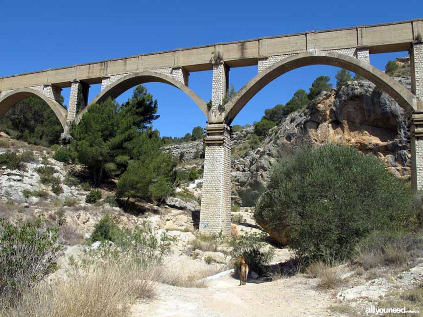 Fuente Caputa in Mula. Murcia