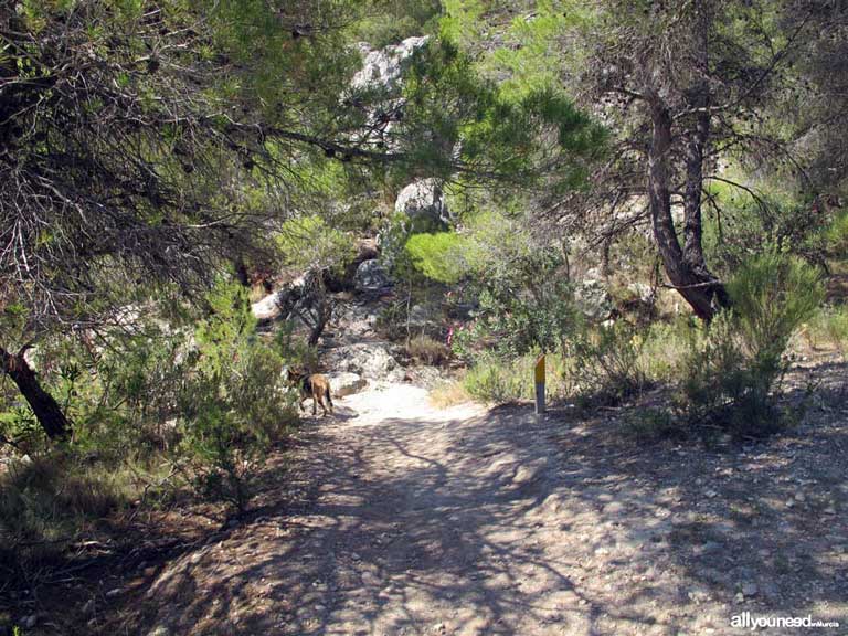 Fuente Caputa in Mula. Murcia