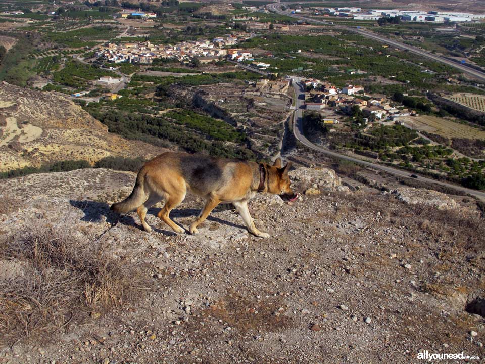 Castillo de Alcalá en Mula. Cómo llegar. Pumba