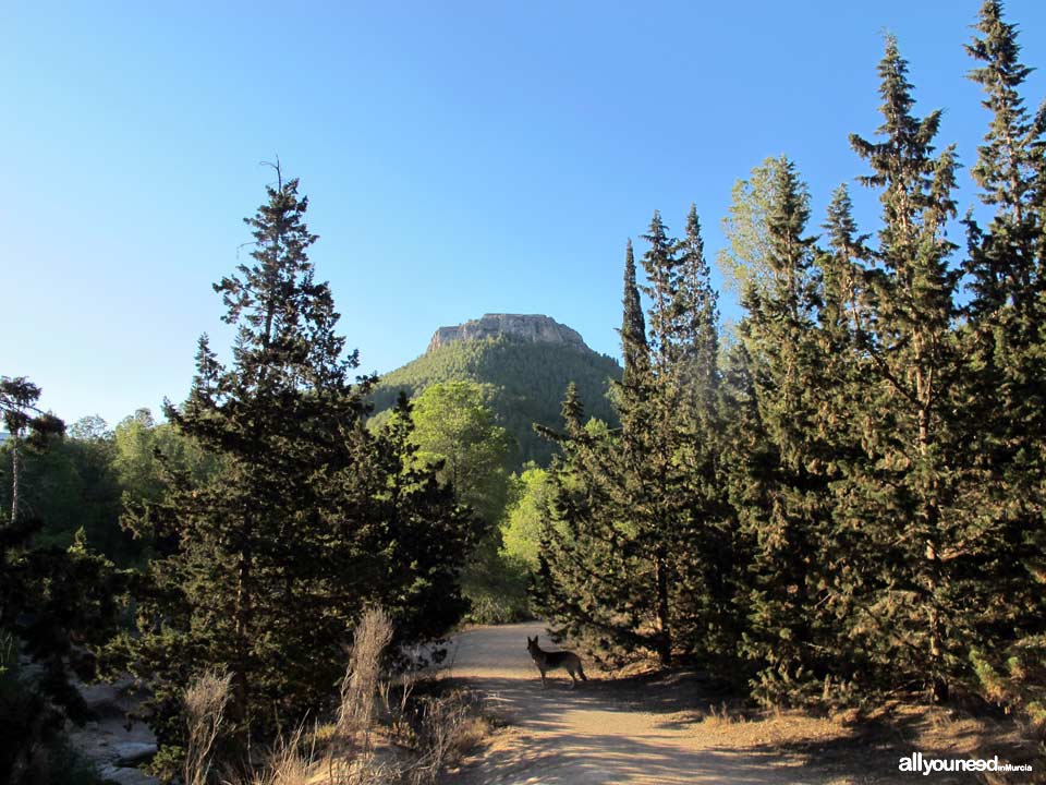 Asomada Castle ruin. Portazgo Castle Route 