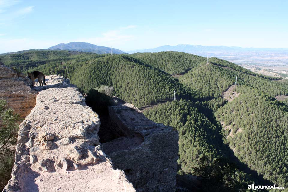 Castillo de la Asomada. Puerto de la Cadena. | Castillos de Murcia