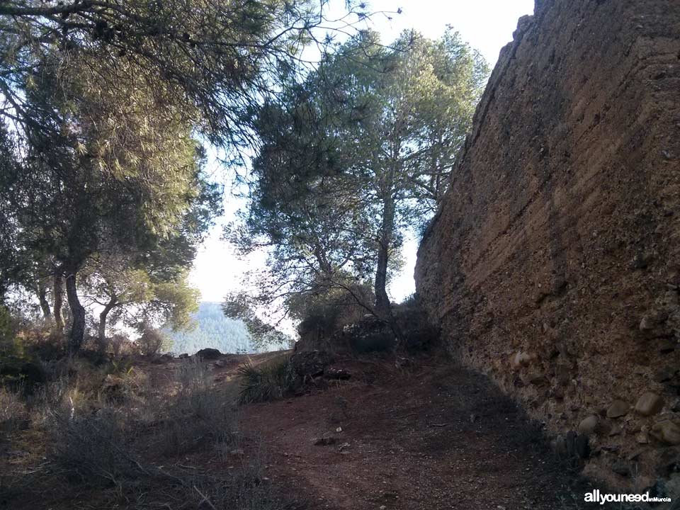 Castillo del Portazgo. Parte alta. Puerto de la Cadena. | Castillos de Murcia