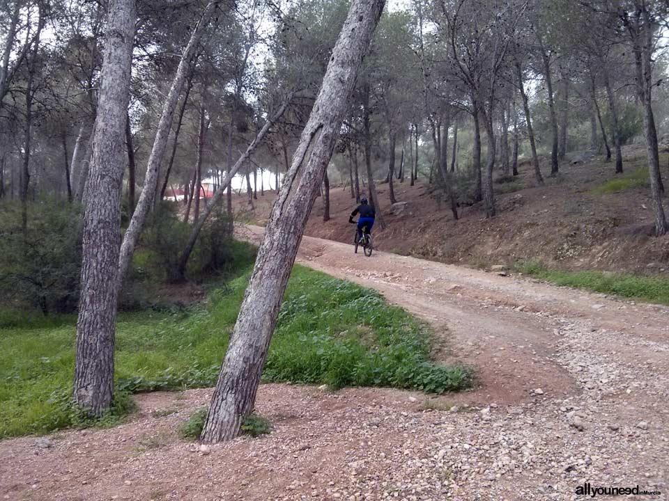 Sendero Cultural de El Valle. SL-MU7. Camino de Santa Catalina