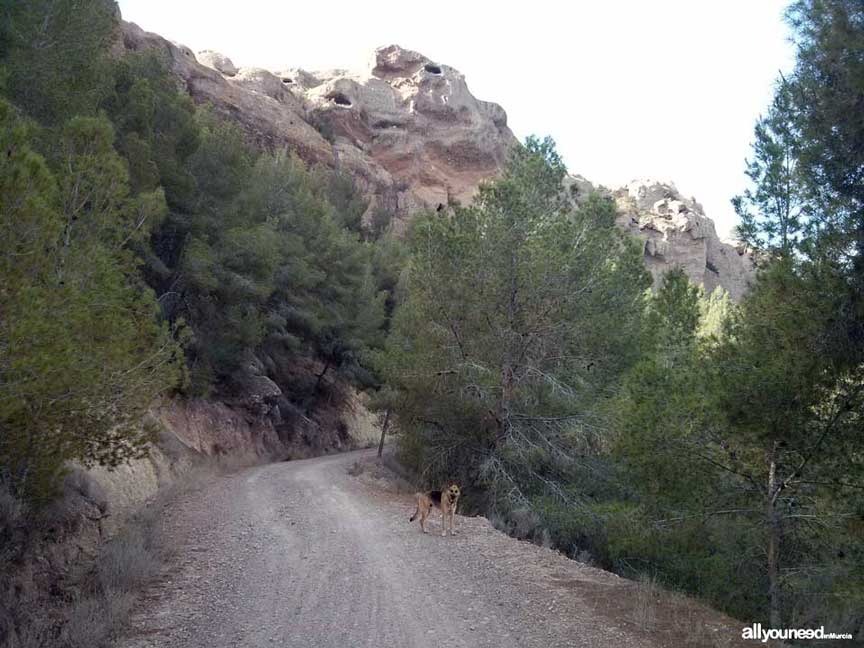 Ruta La Muralla de King Kong. Senderismo en Murcia