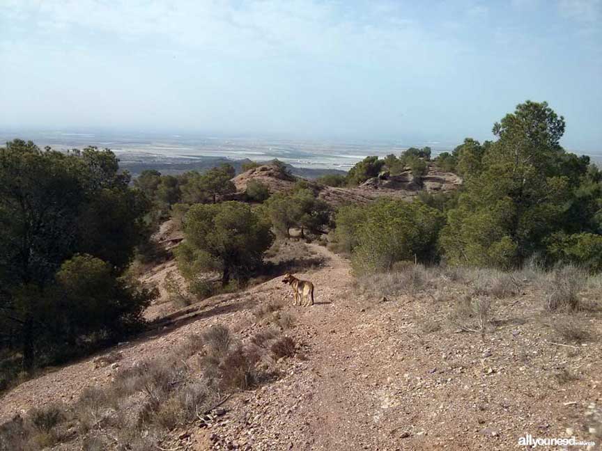 Ruta La Muralla de King Kong. Senderismo en Murcia