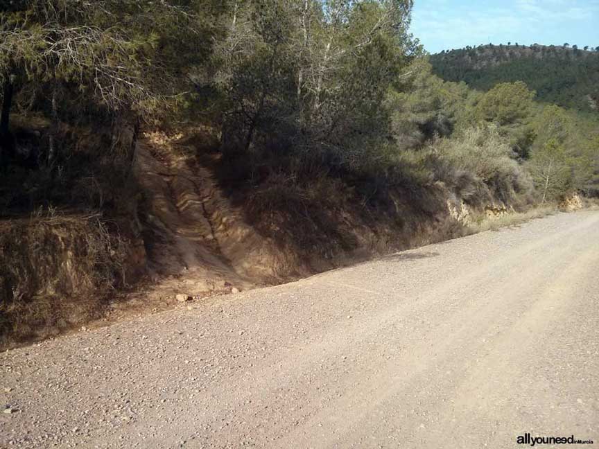 Ruta La Muralla de King Kong. Tomar sendero a la izquierda. Senderismo en Murcia