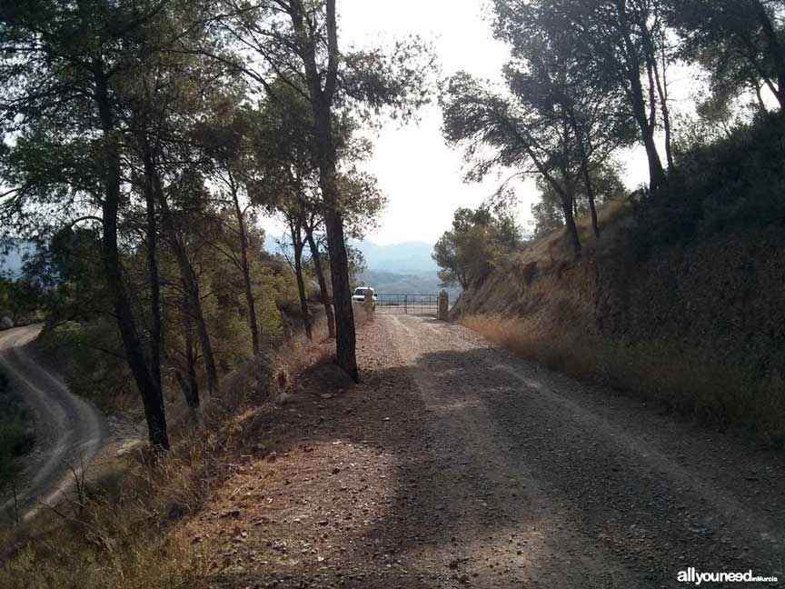 Ruta La Muralla de King Kong. Comienzo del sendero. Senderismo en Murcia