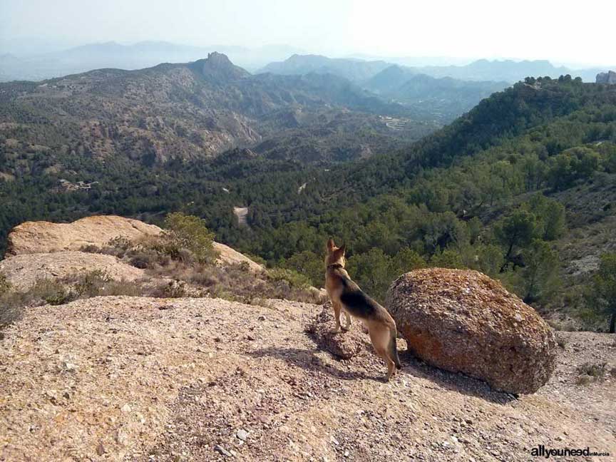 Ruta La Muralla de King Kong. Senderismo en Murcia