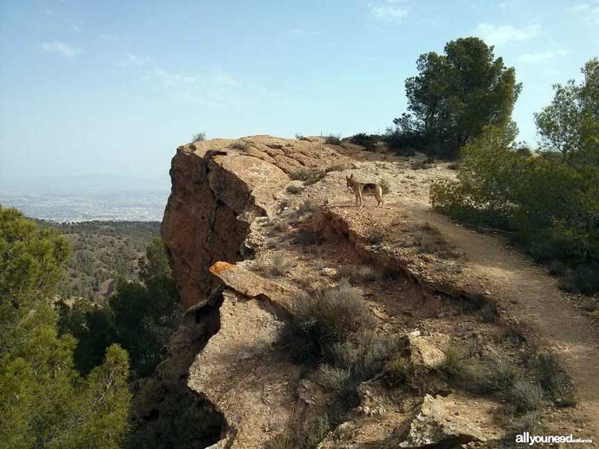 Ruta La Muralla de King Kong. Senderismo en Murcia