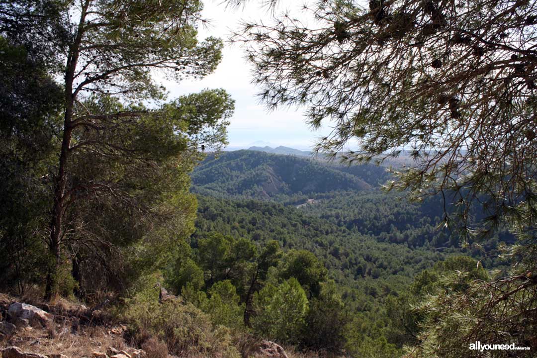 Views from Asomada Castle