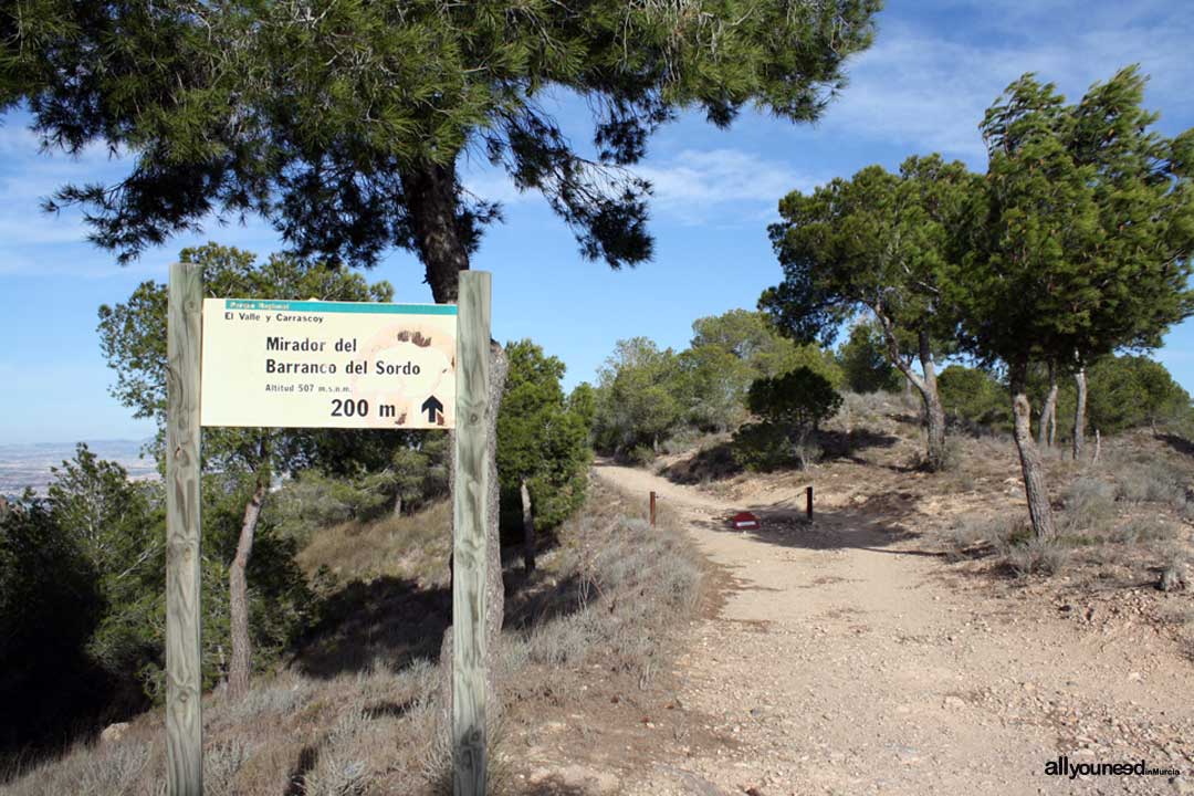 Barranco del Sordo Viewpoint